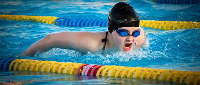 Schmetterling Schmetterling